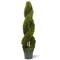 4ft. Double Cedar Spiral Topiary with Green Pot